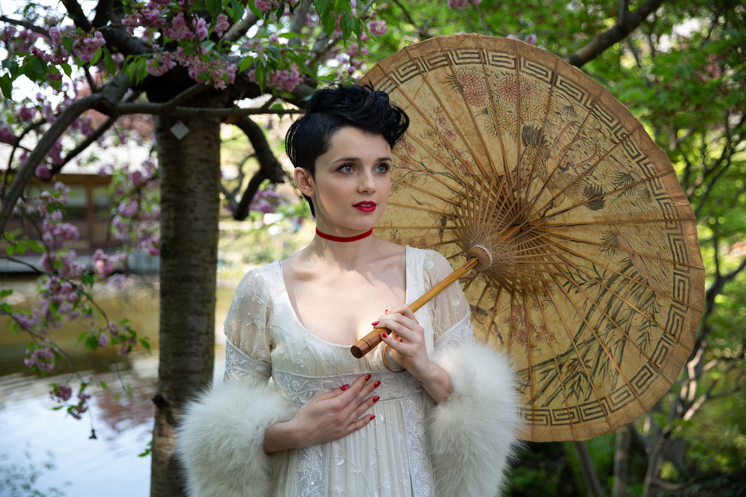 jane austen inspired advertising photoshoot in setagaya park by art director and fashion stylist katalina sasdy. a lady in a white empire dress with white fur stole and a red velvet collar is standing under a cherry tree with a japanese umbrella in her hands. she is wearing the so called titus hairstyle, which means the hair is shaved at the back and includes short curls at the front.